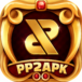 pp2game fav icon
